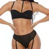 Forplay Sheer Choker Bra Set