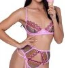 Roma Strawberry Sherbet Bra And Garter Set